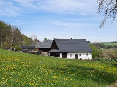 BŘEZINY