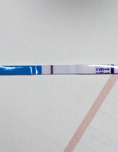 Testování a těhotenský test | Těhotenský test, duch