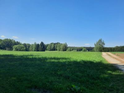 PROCHÁZKA 9.5.2024