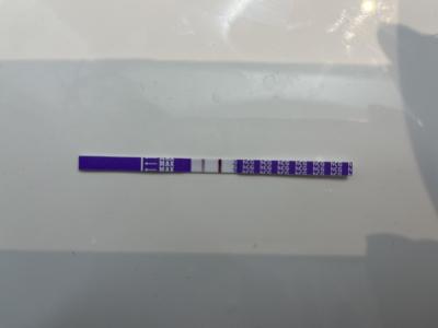 Testování a těhotenský test | 7. den po ET - pozitivní těhotenský test?