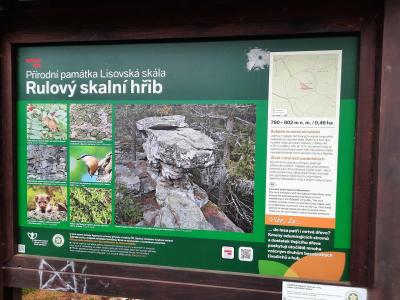 LISOVSKÁ SKÁLA
