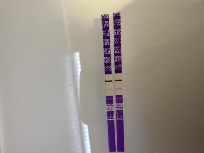 Těhotenství | Těhu test v den ms pozitivní