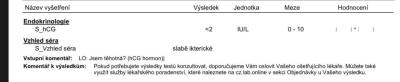 Testování a těhotenský test | Hodnoty hcg, vyzná se v nich někdo?