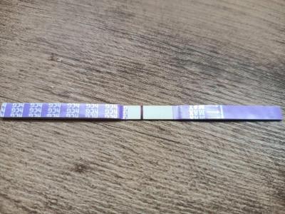 Testování a těhotenský test | Dlohodobě nesílíci duch na testech