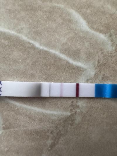 Testování a těhotenský test | Těhotenský test
