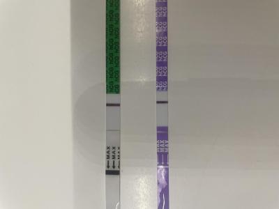 Testování a těhotenský test | Ovulace - kdy mohla být