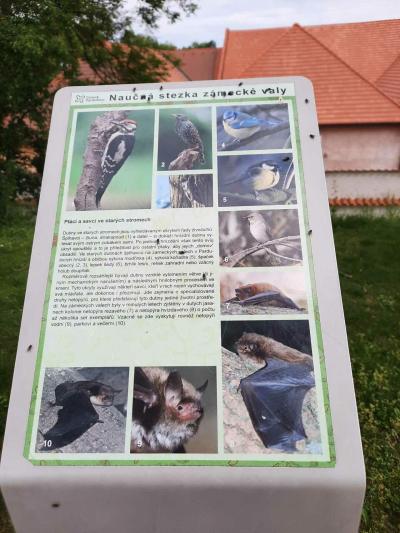 PARDUBICE 2