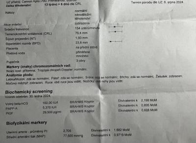 Těhotenství | Výsledky z prvního screeningu