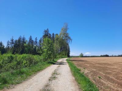 PROCHÁZKA 9.5.2024