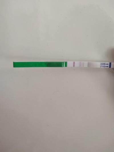 Testování a těhotenský test | Ovulační test pozitivní před MS