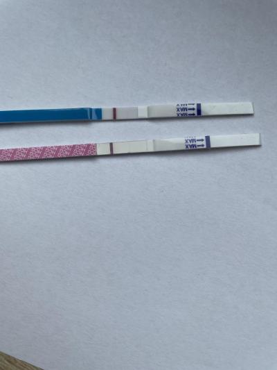 Testování a těhotenský test | Vidíte taky ducha?