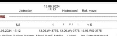 Testování a těhotenský test | Hodnoty HCG vyzná se v nich někdo?
