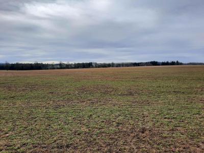 PROCHÁZKA 14.2.2024