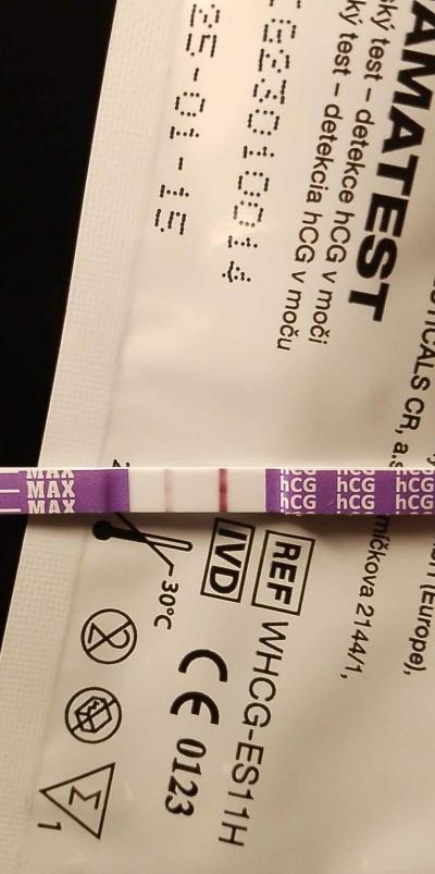 Testování a těhotenský test | Pozitivní test den před očekávanou MS