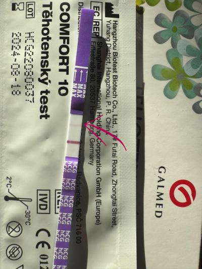Testování a těhotenský test | Těhotenský test, duch