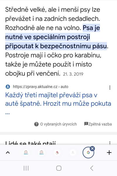 Zvířata | Jak v autě převážet psa?