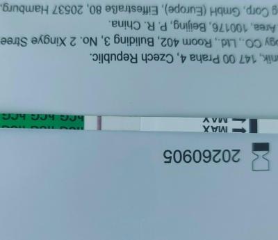 Testování a těhotenský test | Pozitivní pepino test v limitu