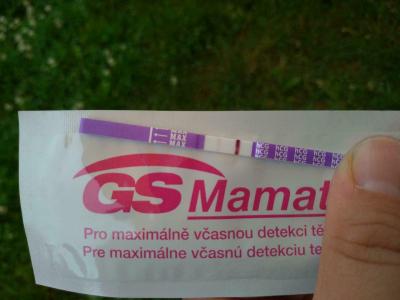 Snažení | Ovu a těhotenský test