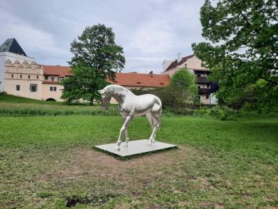PARDUBICE 1