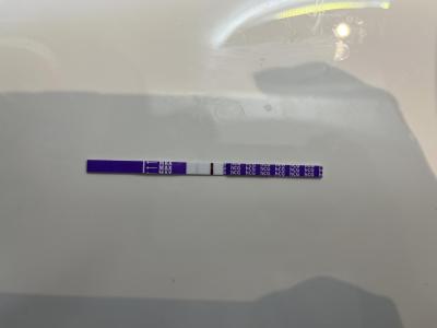 Testování a těhotenský test | 7 den po ET pozitivní tt?
