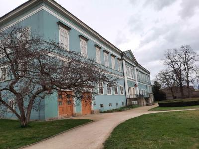 DAČICE