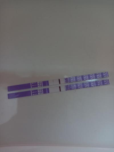 Testování a těhotenský test | Mama test 2024 - duch
