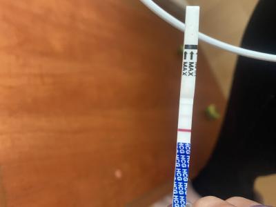 Testování a těhotenský test | Pozitivní test před ms a leidenska mutace