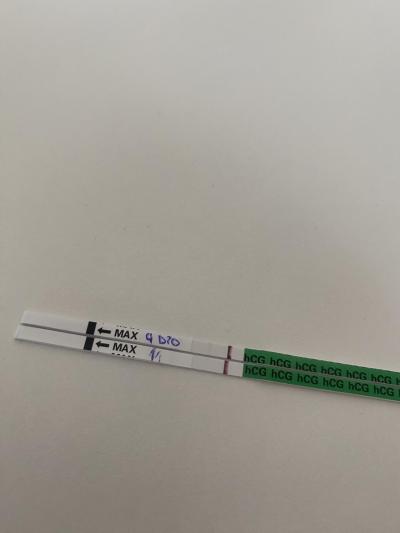 Těhotenství | Těhotenský test - 9 DPO