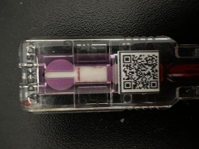 Těhotenství | Krevní test Innova Pharma