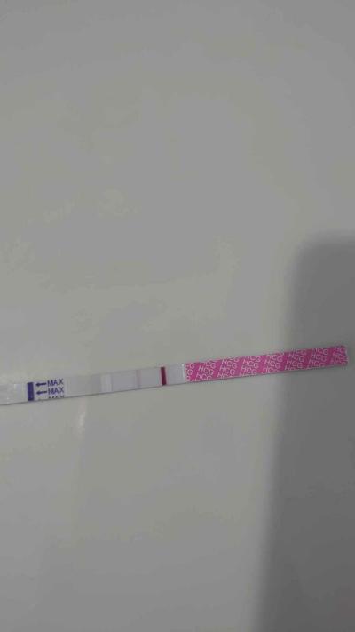 Testování a těhotenský test | Těhotenský test - duch/ neduch?