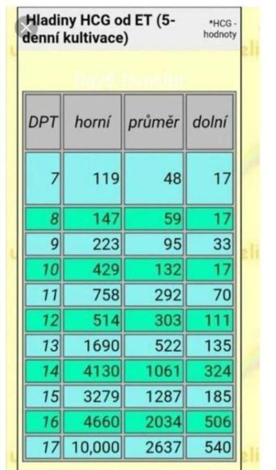 Snažení | KET listopad 2024