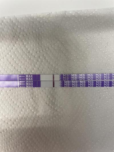 Testování a těhotenský test | 11 den po ovitrelle