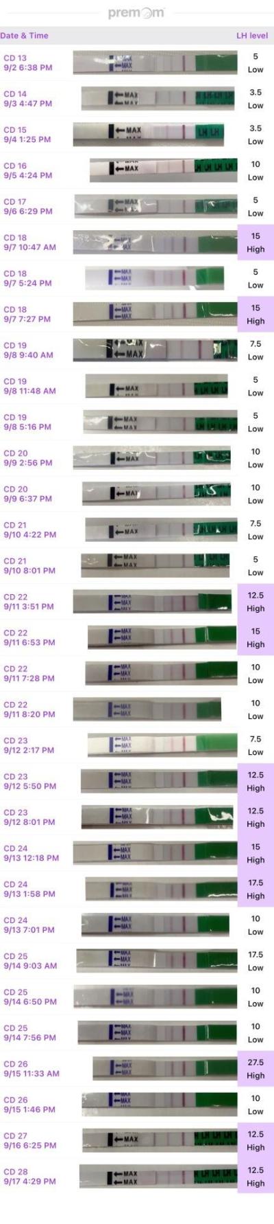 Testování a těhotenský test | Ovulace kdy mohla být