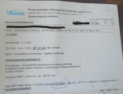 Těhotenství | Vvv v těhotenství