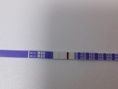 Testování a těhotenský test | 11 den po Ovitrelle