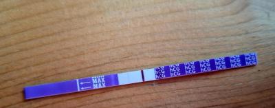 Testování a těhotenský test | 3 dny opožděná MS a test pokaždé jinak?