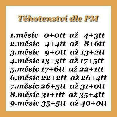 Těhotenství | V jakem jsem měsíci těhotenství ?