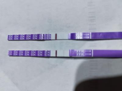 Testování a těhotenský test | Test z odpolední moči
