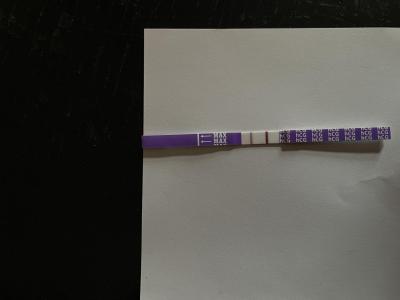 Těhotenství se špatným koncem | Pozitivní test měsíc po revizi