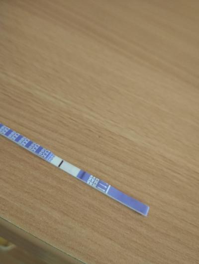 Testování a těhotenský test | Test - duch