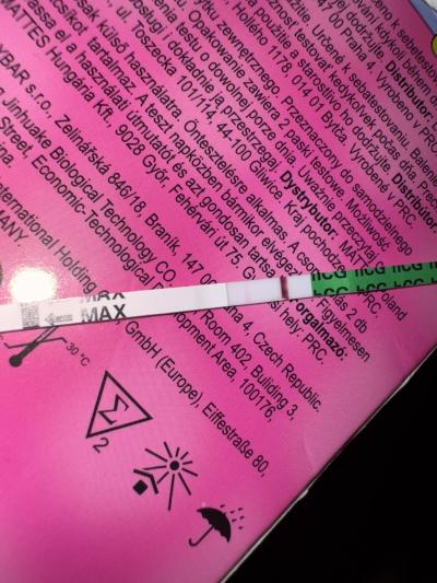 Testování a těhotenský test | Těhotenský test