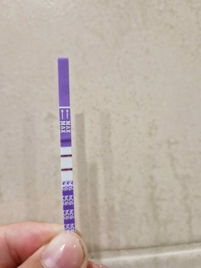 Snažení | Clearblue 2-3, 22 dpo