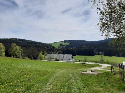 BŘEZINY