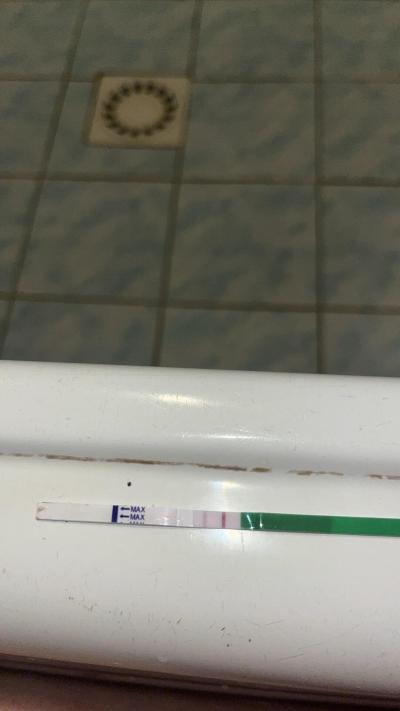 Snažení | Ovulace a Norethisteron