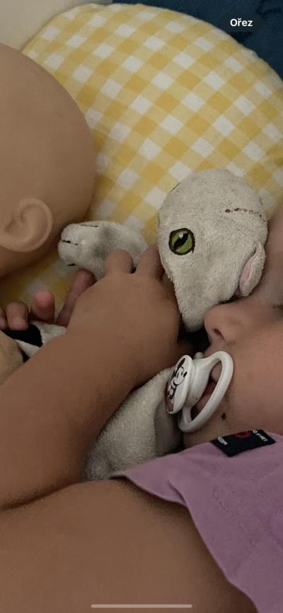 Hračky | Maňásek kočička z Ikey, máte nekdo prosím?