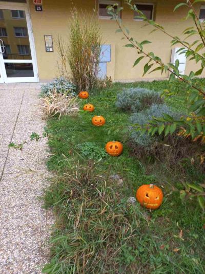 Vyrob si sám | Halloween dýně ????????