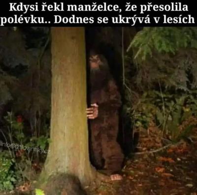Manželství a partnerství | Kde najít normálního milence?