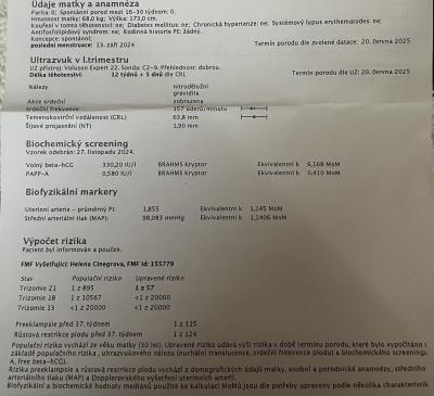 Těhotenství | 1.screening utz ok, krev blbé