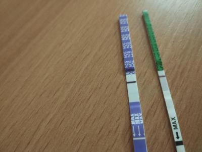 Testování a těhotenský test | Test - duch