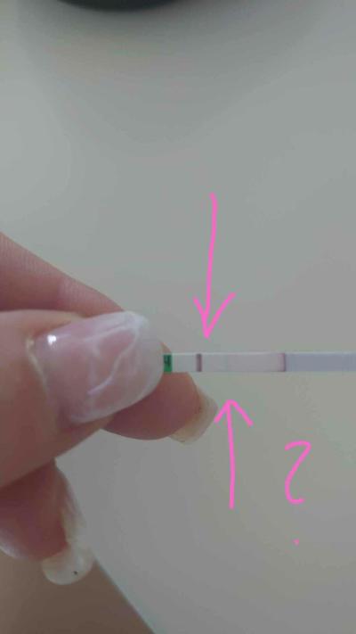 Testování a těhotenský test | Těhotenský test - duch/ neduch?